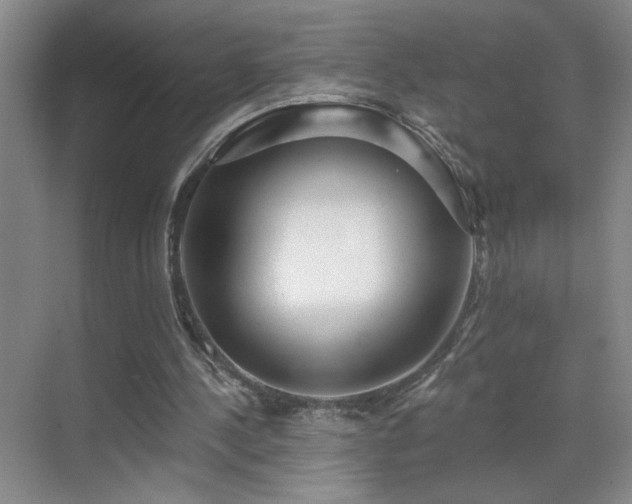 X0000070340244200606091033