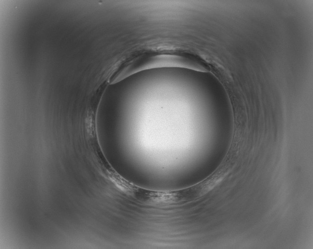X0000070340288200606091034