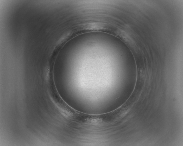 X0000070340304200606091033