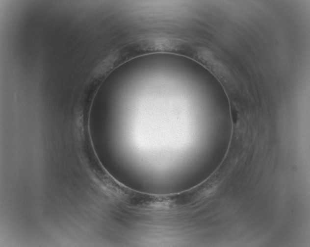 X0000070340306200606091033