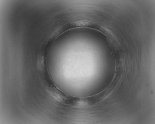 X0000070340308200606091033