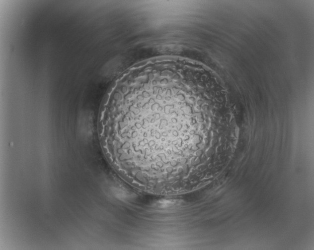 X0000070340323200606091033