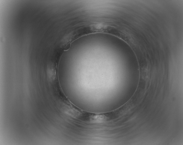 X0000070340324200606091033