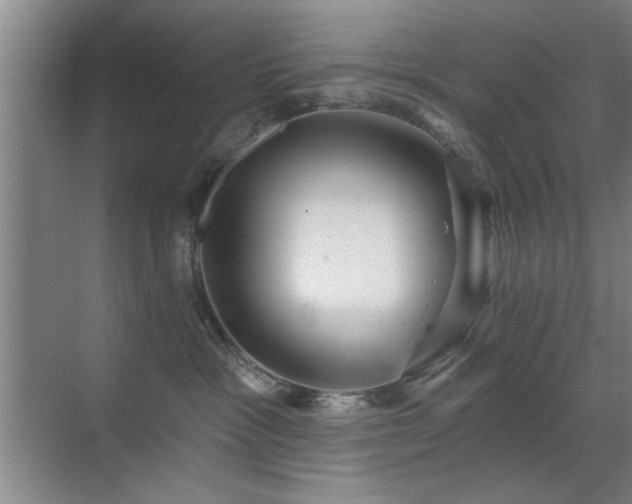 X0000070340333200606091033