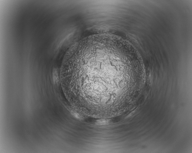 X0000070340335200606091032