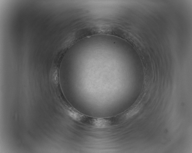 X0000070340336200606091032