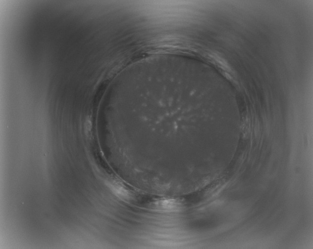 X0000070340365200606091032