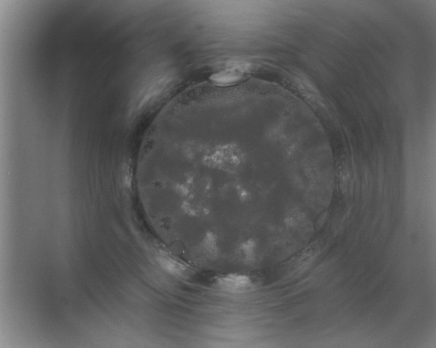 X0000070340374200606091032