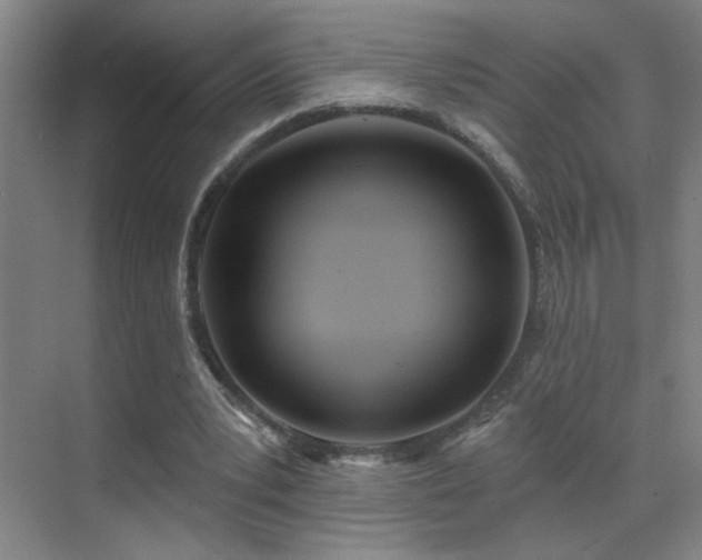 X0000070340391200606091032