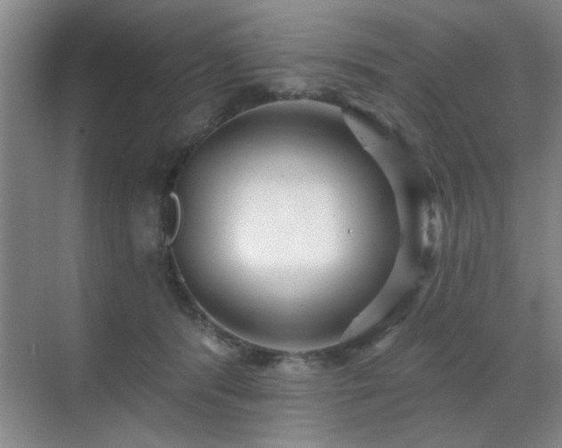 X0000070340416200606091031