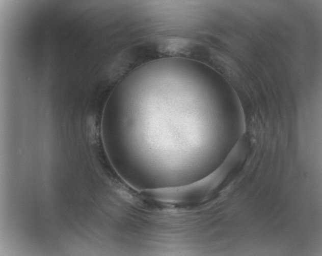 X0000070340420200606091031
