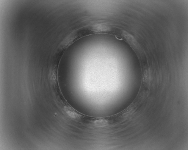 X0000070340426200606091031