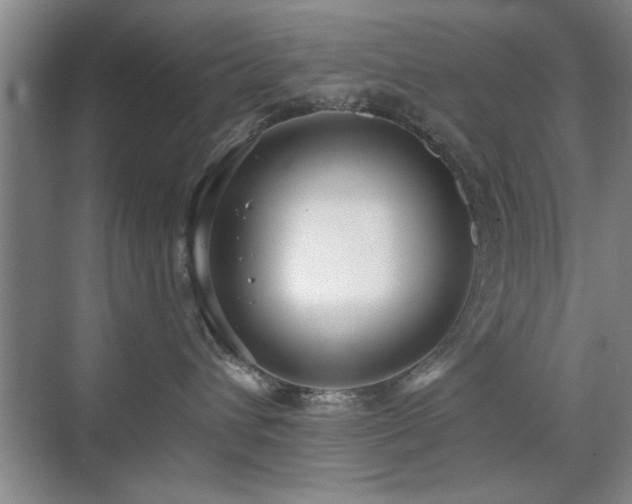 X0000070340432200606091031