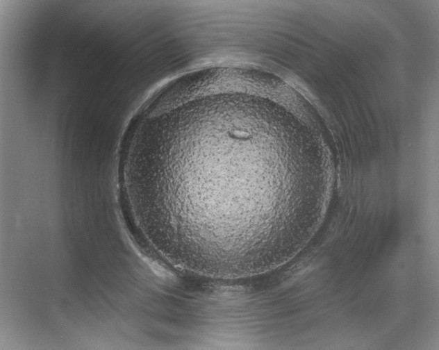 X0000070340438200606091030