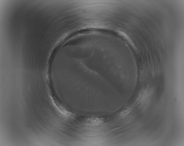 X0000070340443200606091030