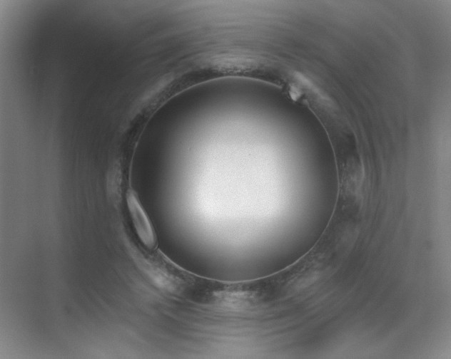 X0000070340448200606091030