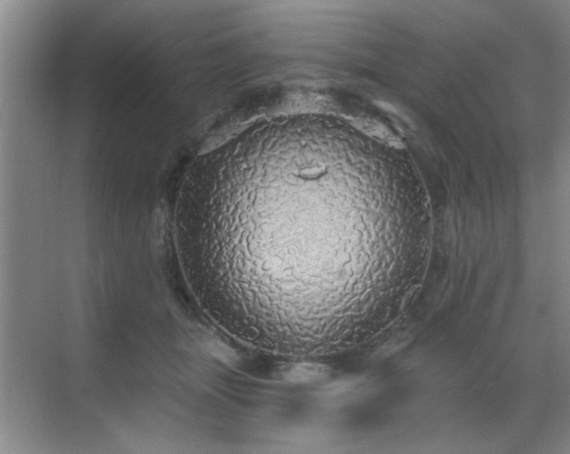 X0000070340463200606091031