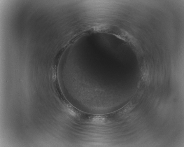 X0000070340471200606091031