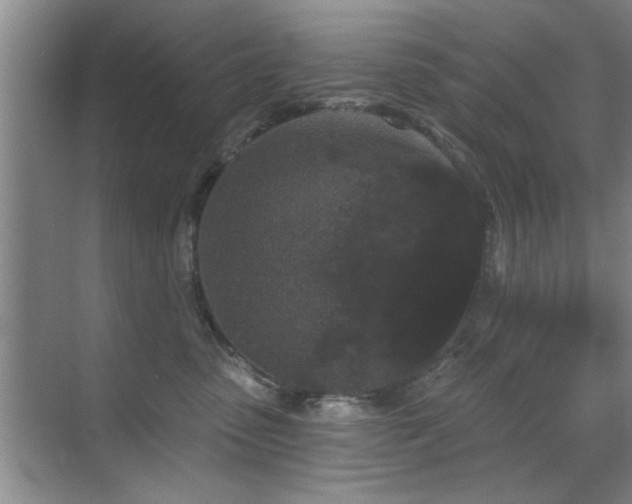 X0000070340475200606091031