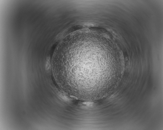 X0000070340478200606091031