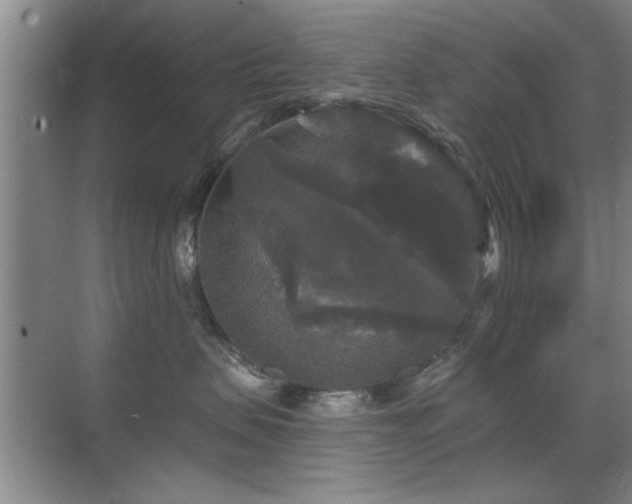 X0000070340479200606091031
