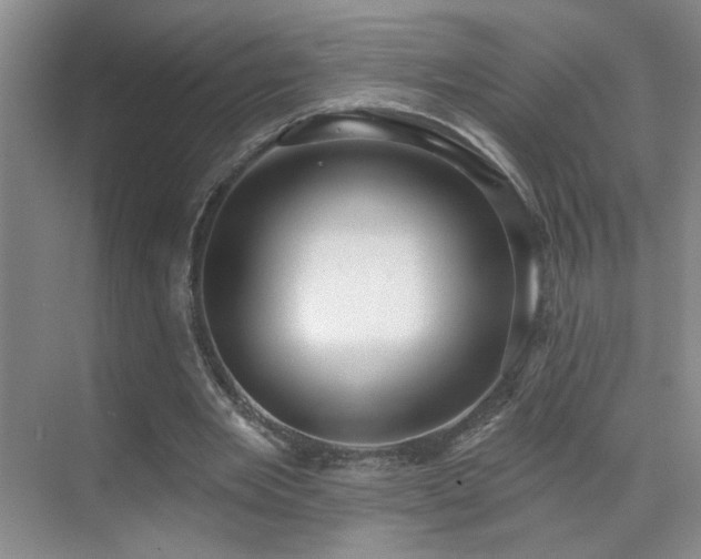 X0000070340485200606091030