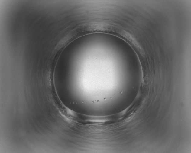 X0000070340489200606091030