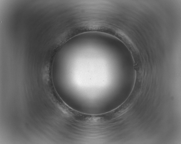 X0000070340497200606091030