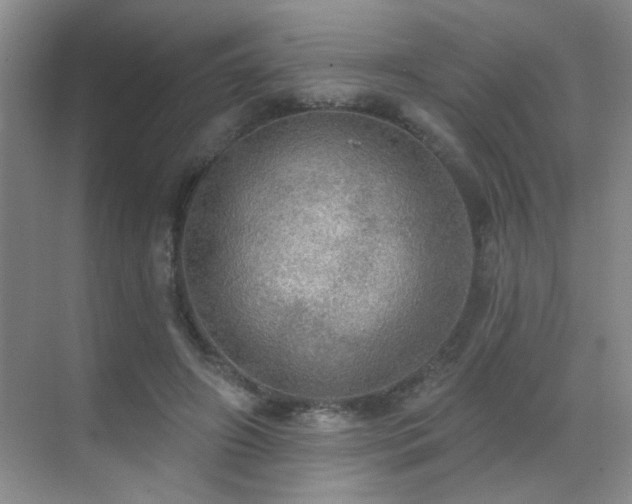 X0000070340498200606091030