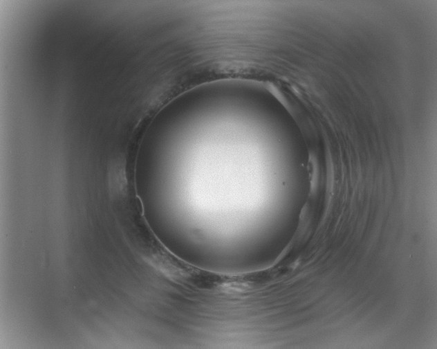 X0000070340508200606091030