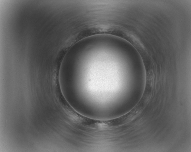 X0000070340509200606091030