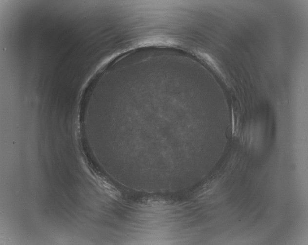 X0000070340531200606091028