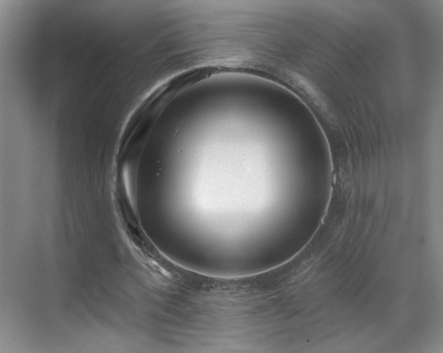 X0000070340532200606091028