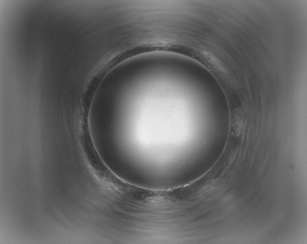 X0000070340544200606091029