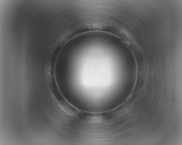 X0000070340548200606091029