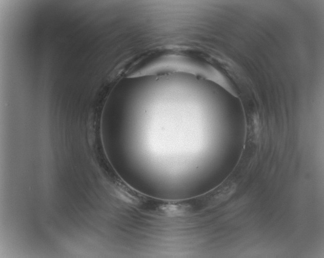 X0000070340558200606091029