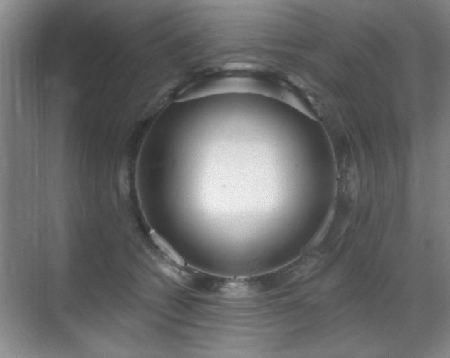 X0000070340562200606091029