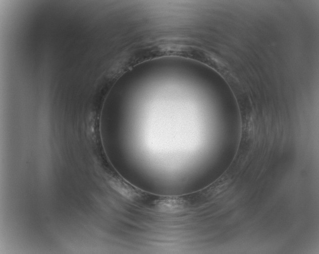 X0000070340567200606091029