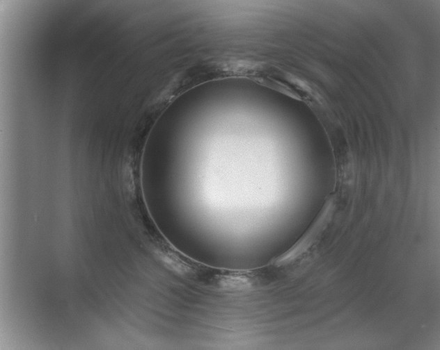 X0000070340572200606091029