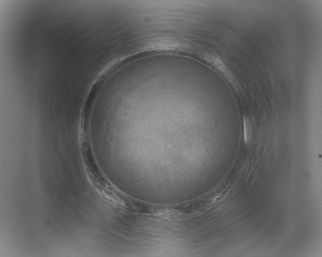 X0000070340579200606091028