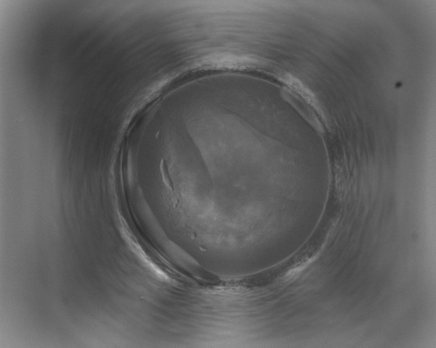 X0000070340581200606091028