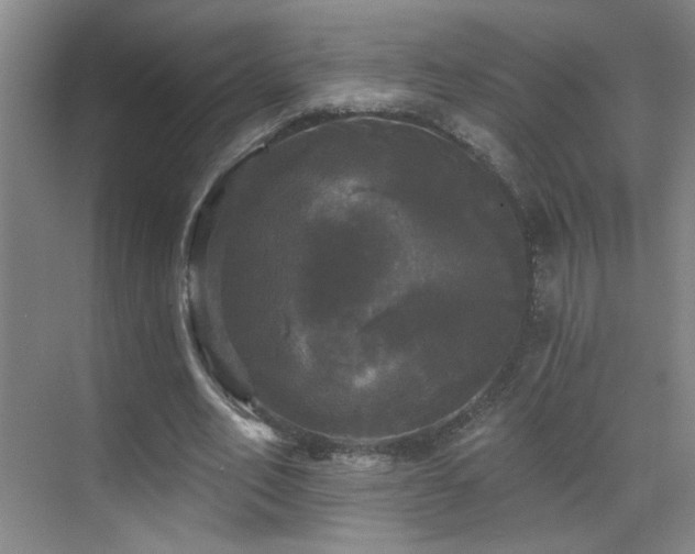 X0000070340582200606091028