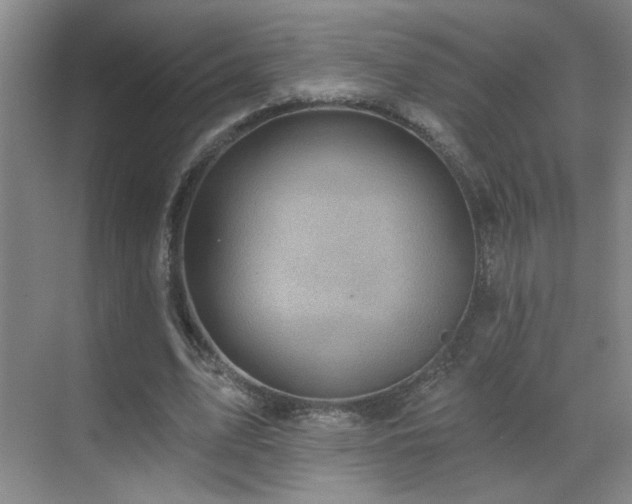 X0000070340583200606091028