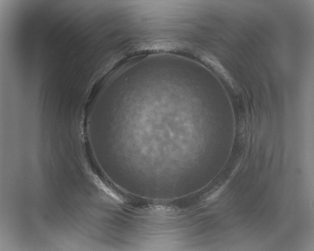 X0000070340585200606091028
