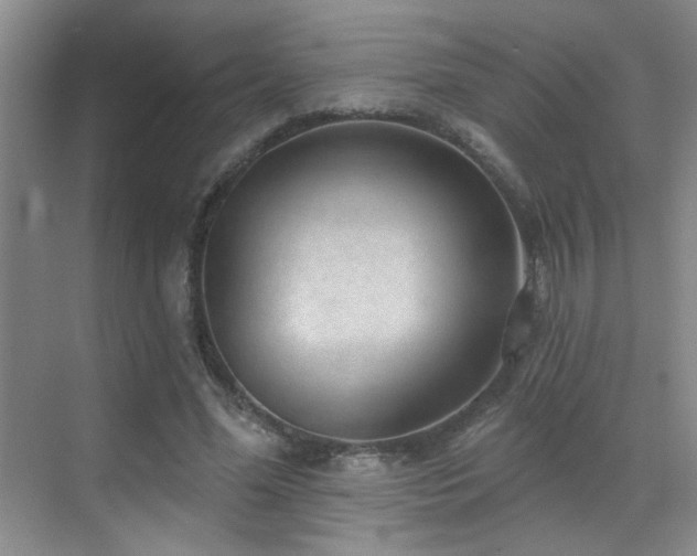 X0000070340588200606091028