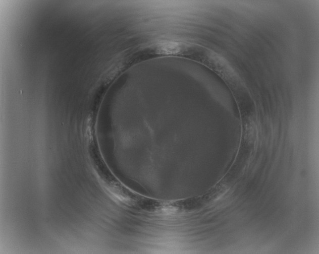 X0000070340598200606091028