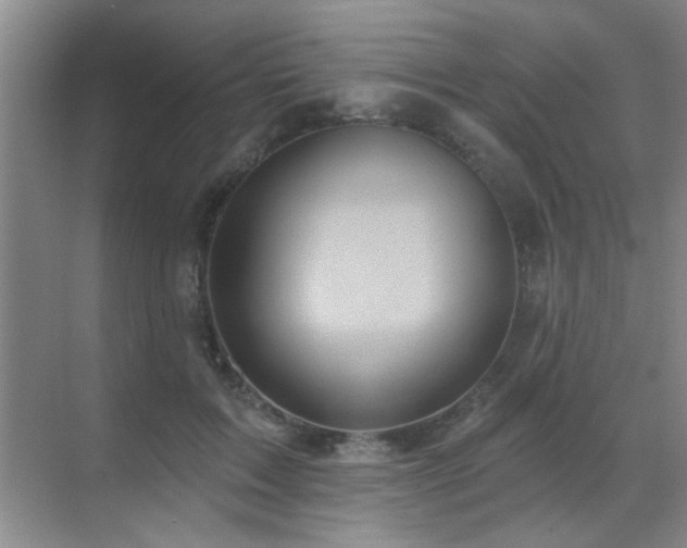 X0000070340603200606091028