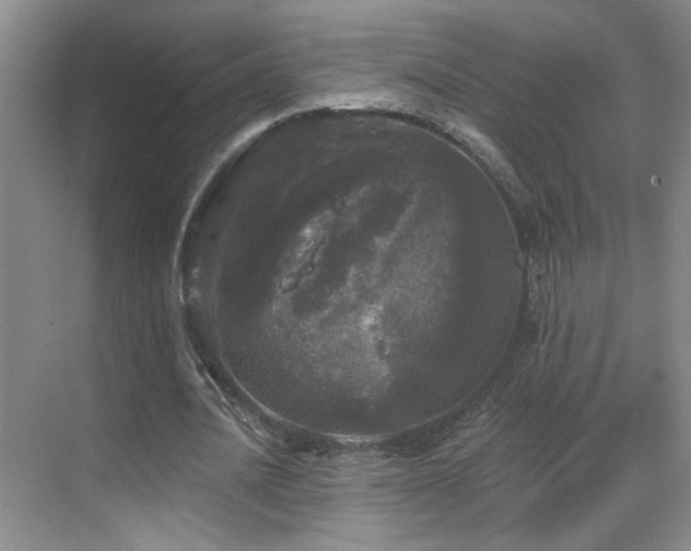 X0000070340628200606091027