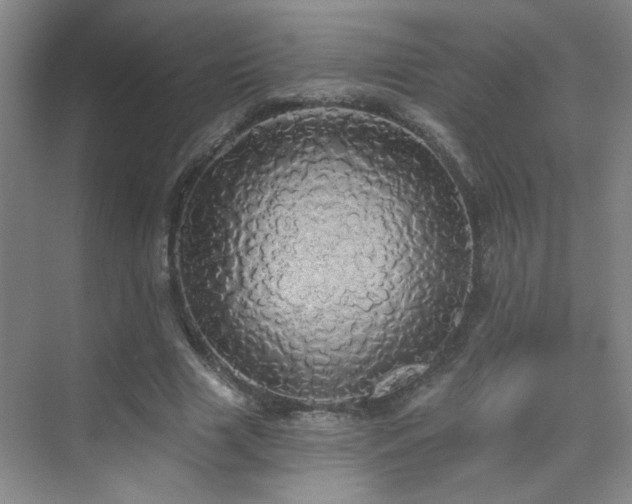 X0000070340633200606091027