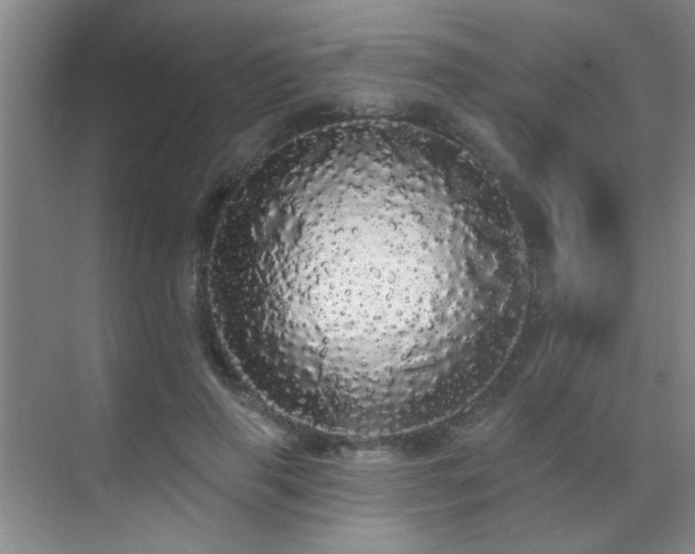 X0000070340645200606091027